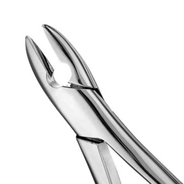 Forcep Adulto Recto Anterior Mediano Forcep Adulto Recto Anterior Mediano