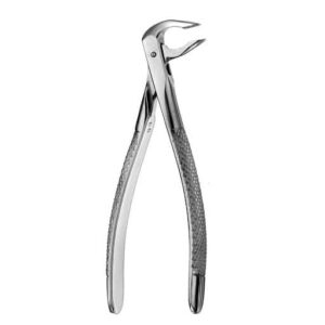 Forcep Adulto Pico Loro Fino