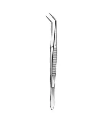 Pinza de Examen Biangulada Pinza de Examen Biangulada